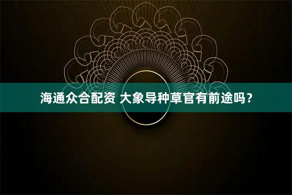 海通众合配资 大象导种草官有前途吗？