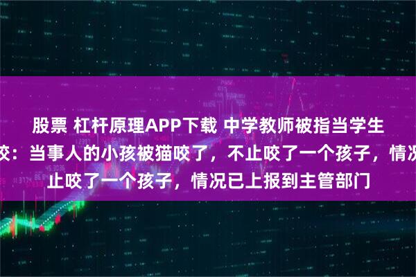 股票 杠杆原理APP下载 中学教师被指当学生面踩死流浪猫，学校：当事人的小孩被猫咬了，不止咬了一个孩子，情况已上报到主管部门